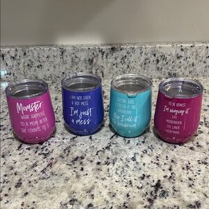Colorful Insulated Tumblers Set